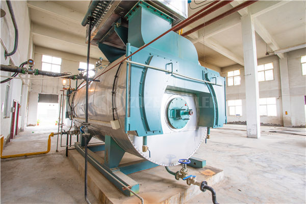 29MW SZS系列燃气热水锅炉项目（天津师范大学）